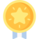 medal